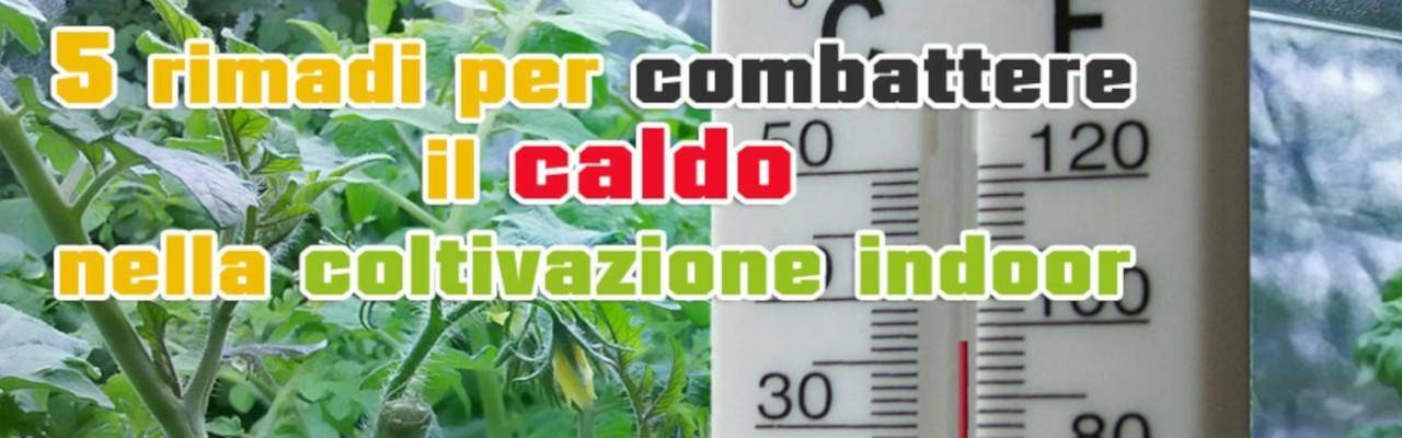 5 romanis contro il caldo