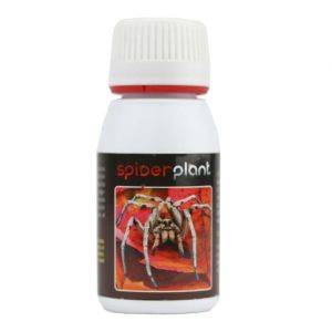 Spider Plant 15ml