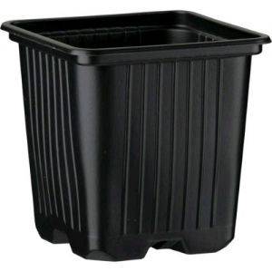 Vaso Quadro 8X8X8CM - 0,35L per Germinazione