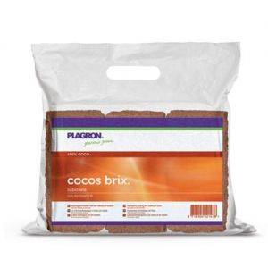 Plagron Coco Brick 8L - 6PZ (Alta qualita')