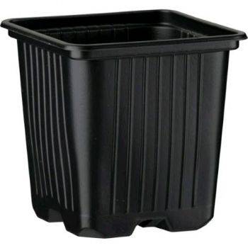 Vaso Quadro 8X8X8CM - 0,35L per Germinazione
